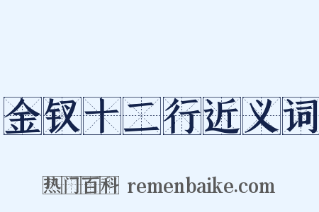 金钗十二行近义词是什么意思的图片
